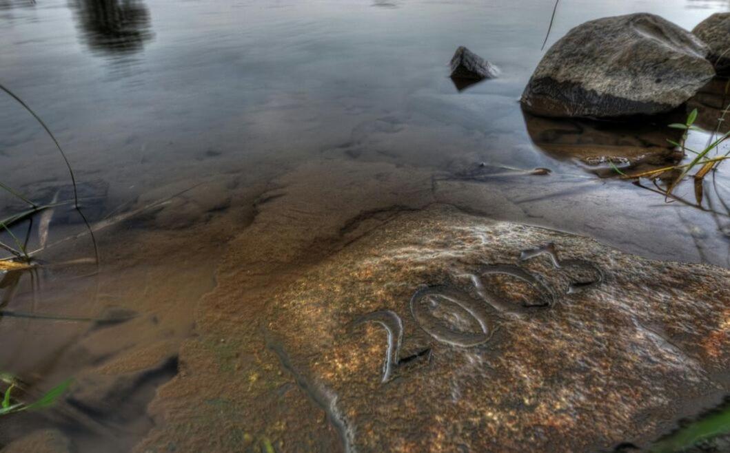 Schmidtalien Schlemmen Und Schlummern Dommitzsch Bagian luar foto